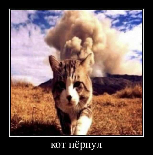 Демотиваторы - 11.04.2025 Демотиваторы - 11.04.2025