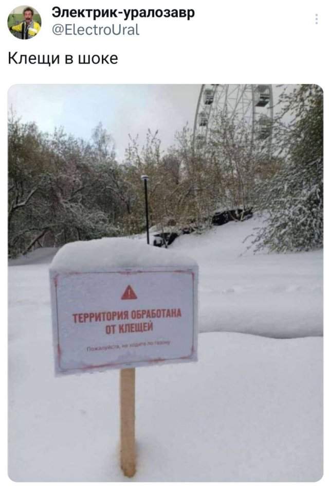 Подборка забавных твитов обо всем Подборка забавных твитов обо всем