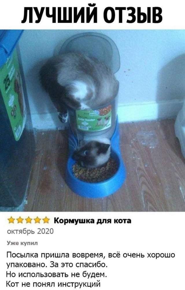 Смешные мемы - 16.04.2025 Смешные мемы - 16.04.2025