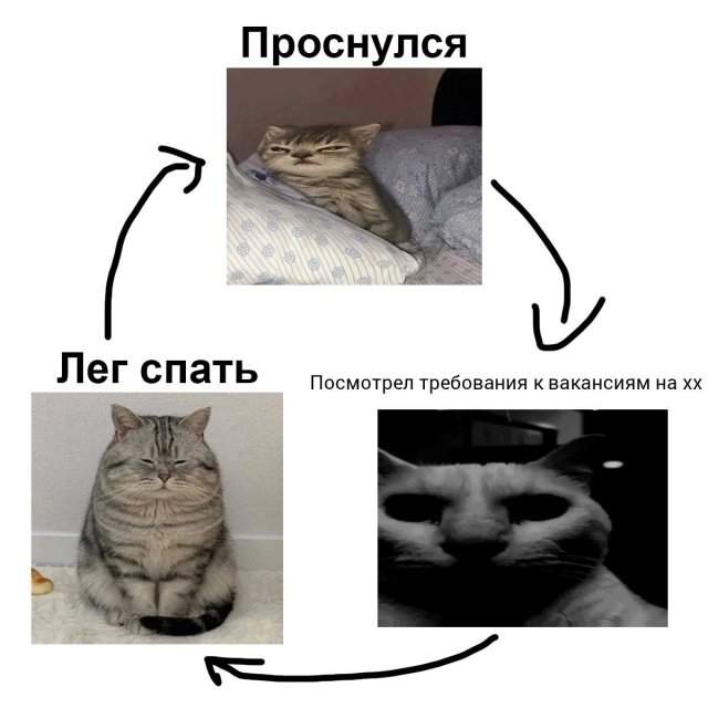 Смешные мемы - 16.04.2025 Смешные мемы - 16.04.2025