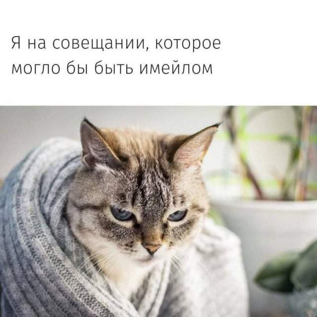 Смешные мемы - 16.04.2025 Смешные мемы - 16.04.2025