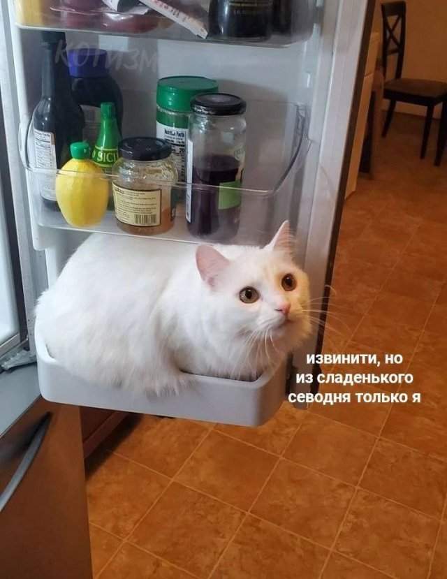 Смешные мемы - 16.04.2025 Смешные мемы - 16.04.2025