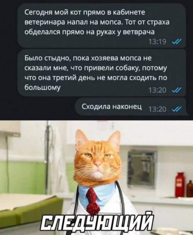 Смешные мемы - 18.04.2025 Смешные мемы - 18.04.2025