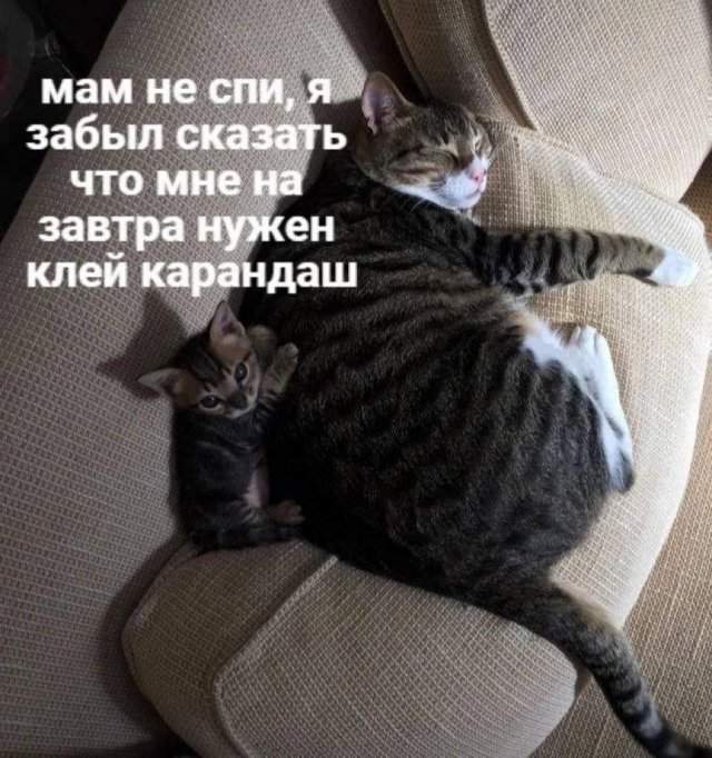 Смешные мемы - 18.04.2025 Смешные мемы - 18.04.2025