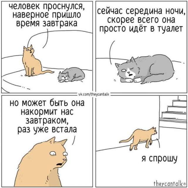 Смешные мемы - 18.04.2025 Смешные мемы - 18.04.2025