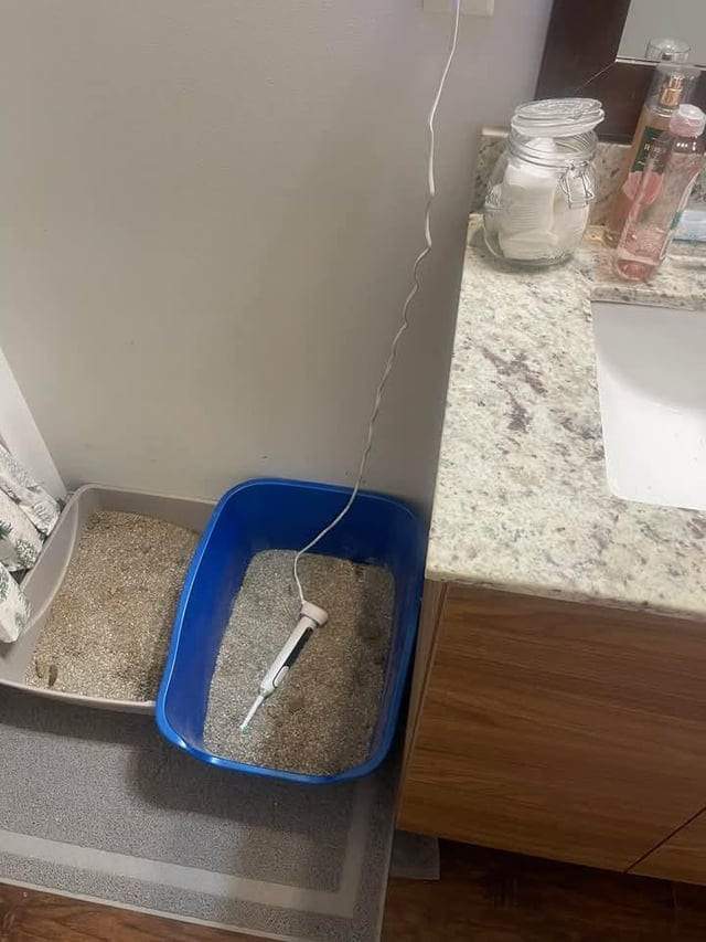 Плачу Плачу