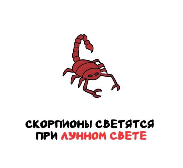 Интересные факты на все случаи жизни Интересные факты на все случаи жизни