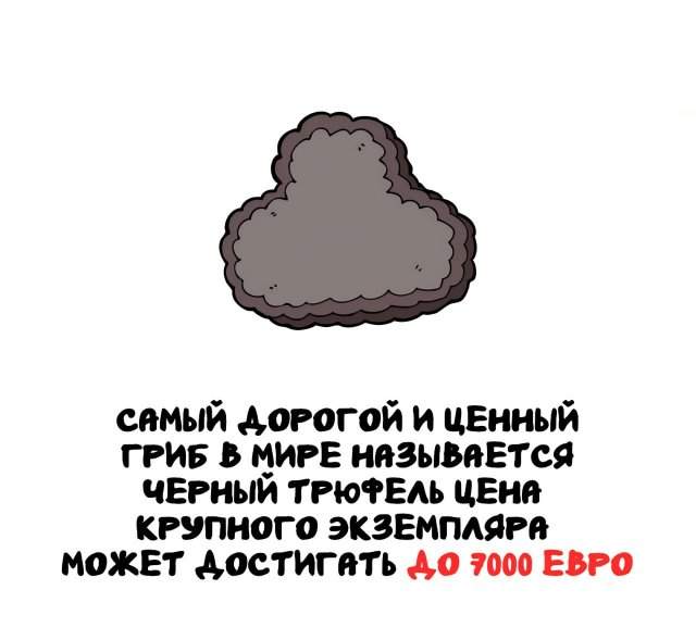 Интересные факты на все случаи жизни Интересные факты на все случаи жизни