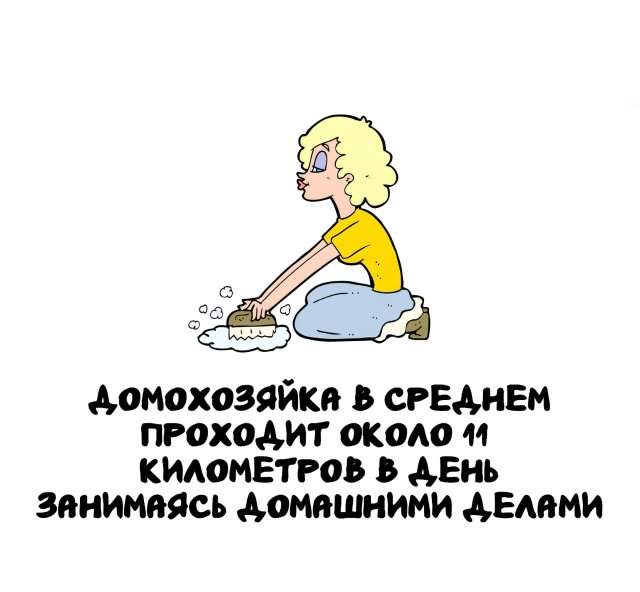 Интересные факты на все случаи жизни Интересные факты на все случаи жизни