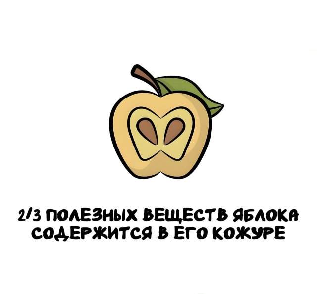 Интересные факты на все случаи жизни Интересные факты на все случаи жизни