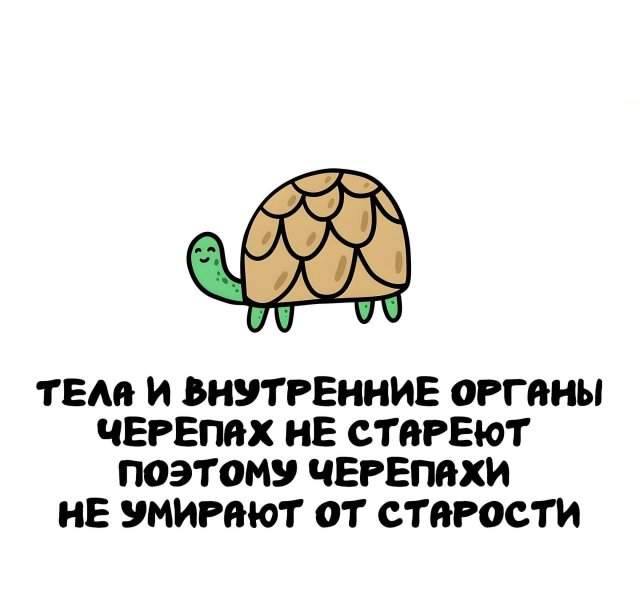 Интересные факты на все случаи жизни Интересные факты на все случаи жизни