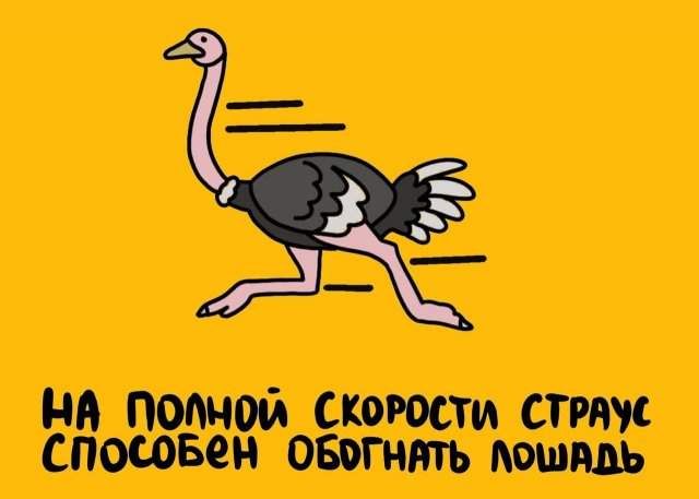 Будете знать: приколы для того, чтобы козырнуть в компании