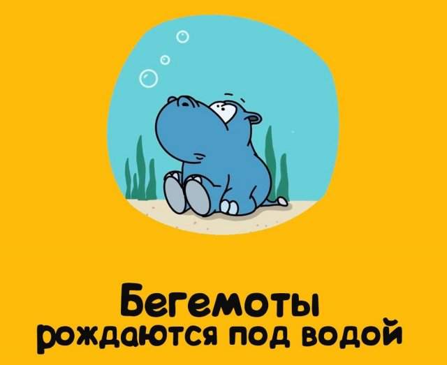 Будете знать: приколы для того, чтобы козырнуть в компании