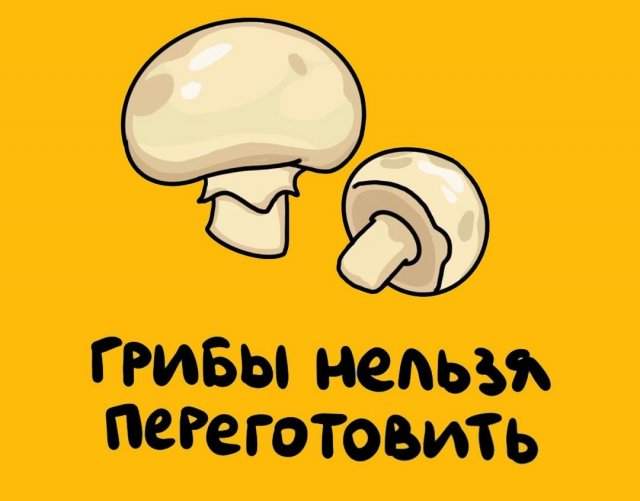 Будете знать: приколы для того, чтобы козырнуть в компании