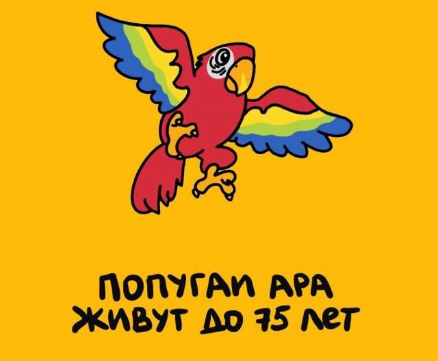 Будете знать: приколы для того, чтобы козырнуть в компании