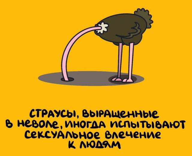 Будете знать: приколы для того, чтобы козырнуть в компании