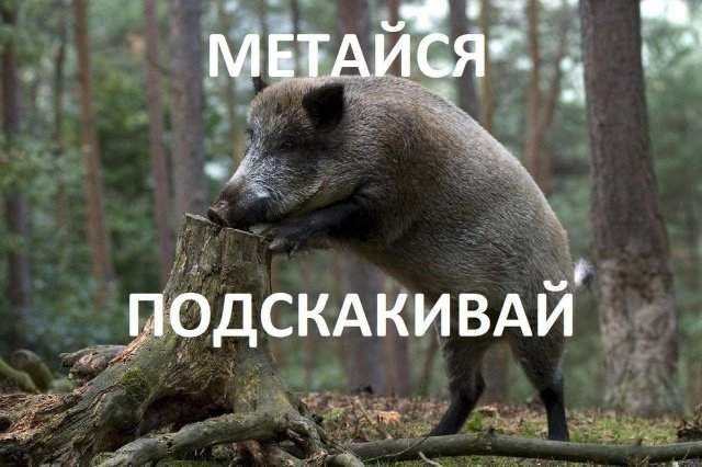 Смешные мемы - 22.04.2025 Смешные мемы - 22.04.2025