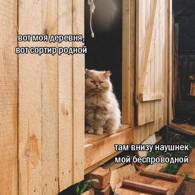 Смешные мемы - 22.04.2025 Смешные мемы - 22.04.2025