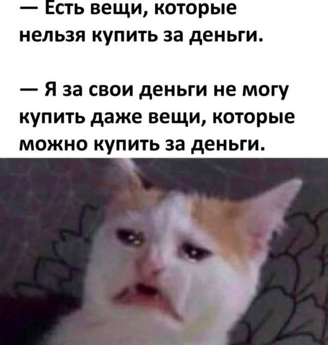 Смешные мемы - 22.04.2025 Смешные мемы - 22.04.2025