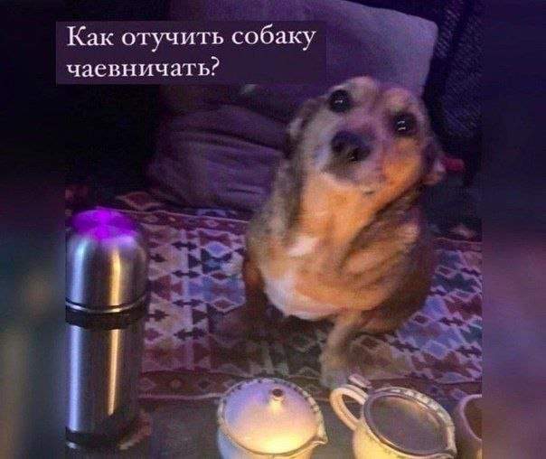 Смешные мемы - 22.04.2025 Смешные мемы - 22.04.2025