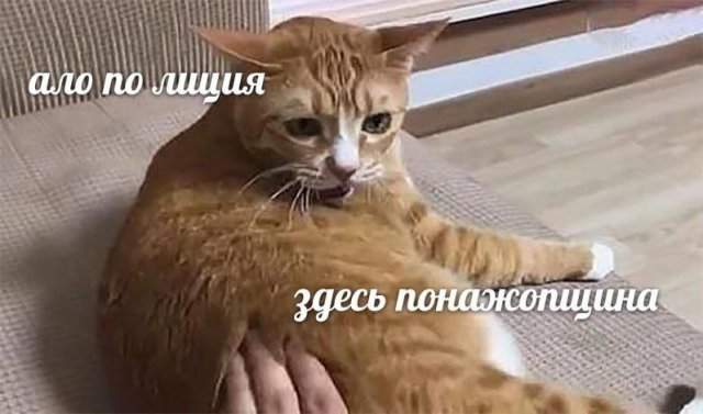 Смешные мемы - 22.04.2025 Смешные мемы - 22.04.2025