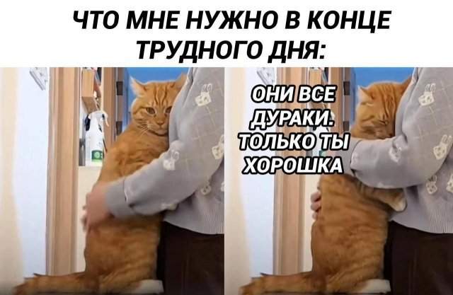 Смешные мемы - 22.04.2025 Смешные мемы - 22.04.2025