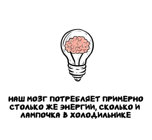 Интересные факты на все случаи жизни Интересные факты на все случаи жизни