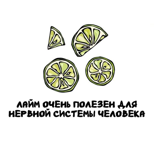 Интересные факты на все случаи жизни Интересные факты на все случаи жизни