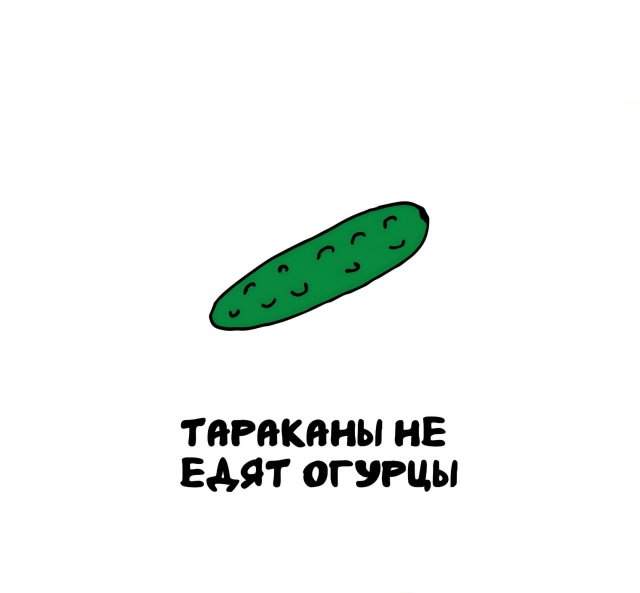 Интересные факты на все случаи жизни Интересные факты на все случаи жизни