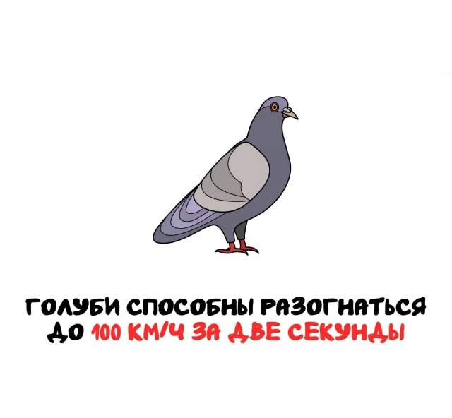 Интересные факты на все случаи жизни Интересные факты на все случаи жизни