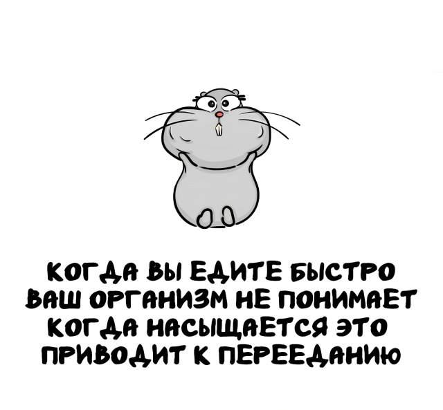 Интересные факты на все случаи жизни Интересные факты на все случаи жизни