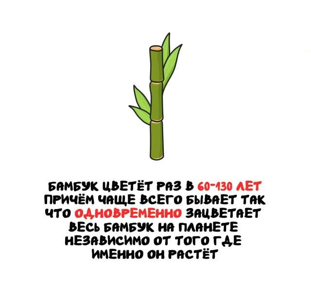 Интересные факты на все случаи жизни Интересные факты на все случаи жизни
