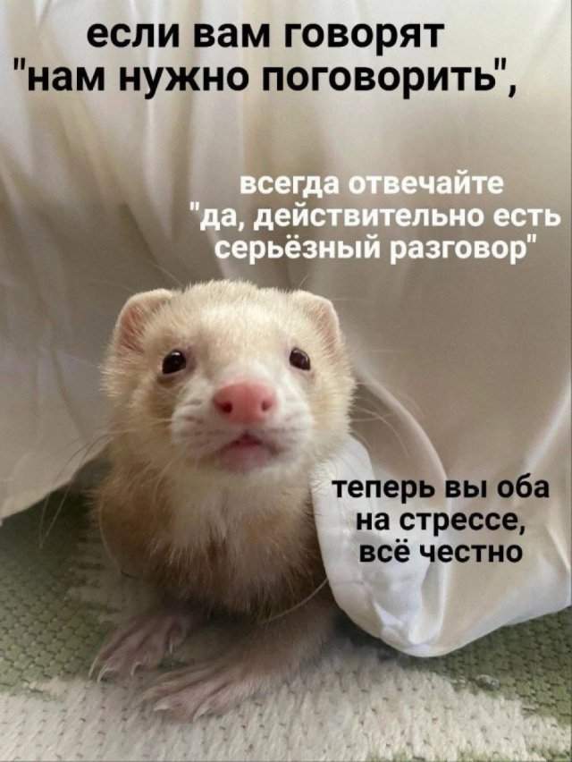 Смешные картинки - 23.04.2025 Смешные картинки - 23.04.2025