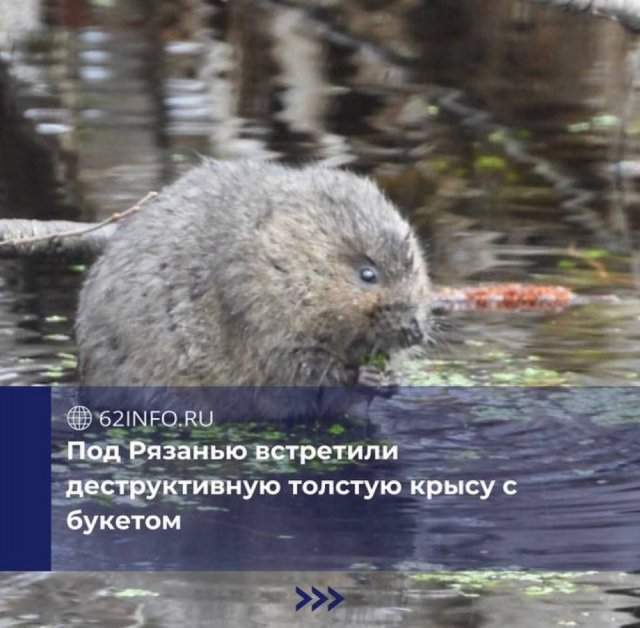 Смешные картинки - 23.04.2025 Смешные картинки - 23.04.2025