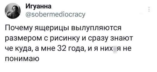 Подборка забавных твитов обо всем Подборка забавных твитов обо всем