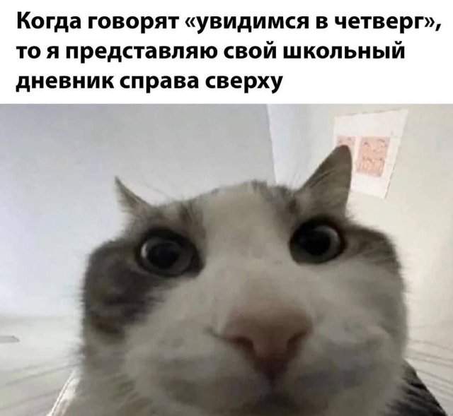Смешные мемы - 24.04.2025