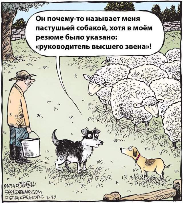 Смешные мемы - 24.04.2025 Смешные мемы - 24.04.2025