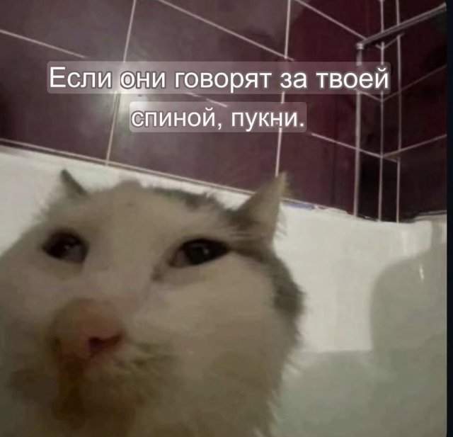 Смешные мемы - 24.04.2025 Смешные мемы - 24.04.2025
