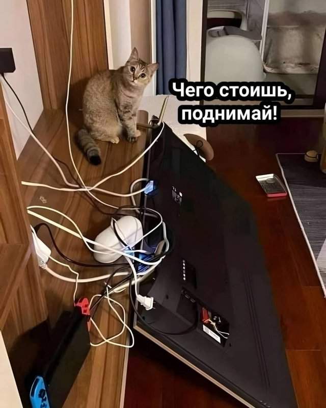 Смешные мемы - 25.04.2025 Смешные мемы - 25.04.2025