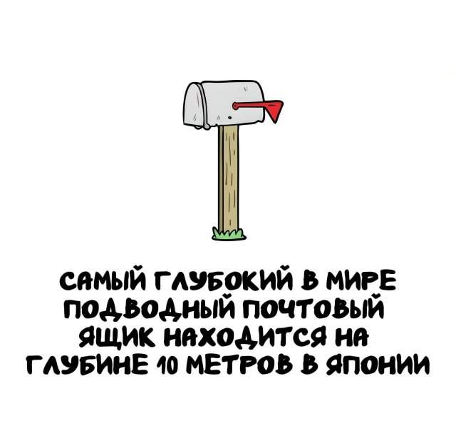 Интересные факты на все случаи жизни Интересные факты на все случаи жизни