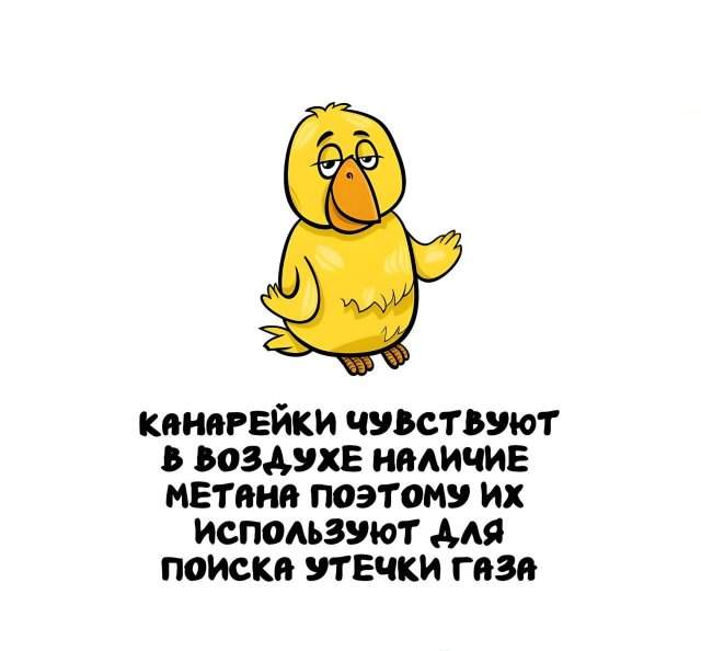 Интересные факты на все случаи жизни Интересные факты на все случаи жизни