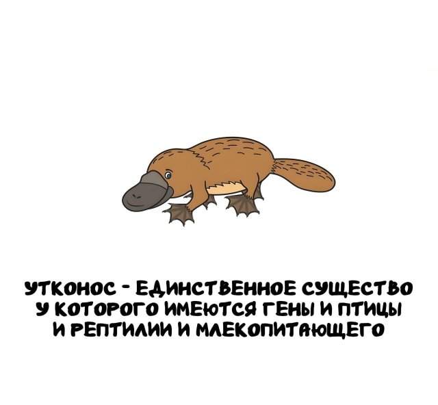 Интересные факты на все случаи жизни Интересные факты на все случаи жизни