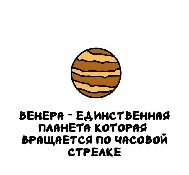 Интересные факты на все случаи жизни Интересные факты на все случаи жизни