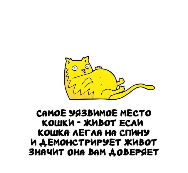 Интересные факты на все случаи жизни Интересные факты на все случаи жизни