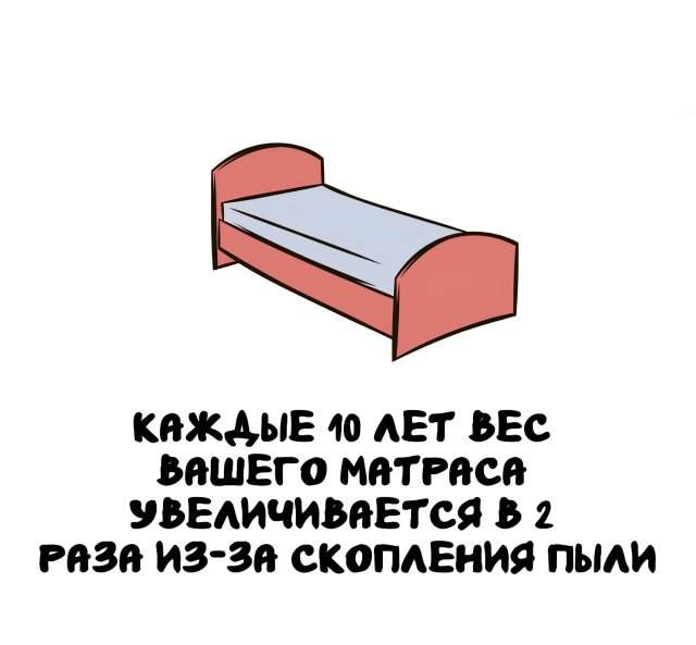 Интересные факты на все случаи жизни Интересные факты на все случаи жизни