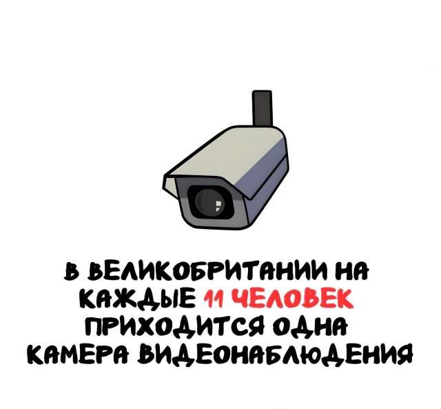 Интересные факты на все случаи жизни Интересные факты на все случаи жизни