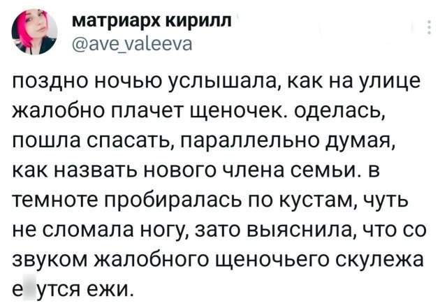 Подборка забавных твитов обо всем Подборка забавных твитов обо всем