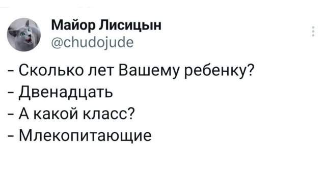 Подборка забавных твитов обо всем Подборка забавных твитов обо всем