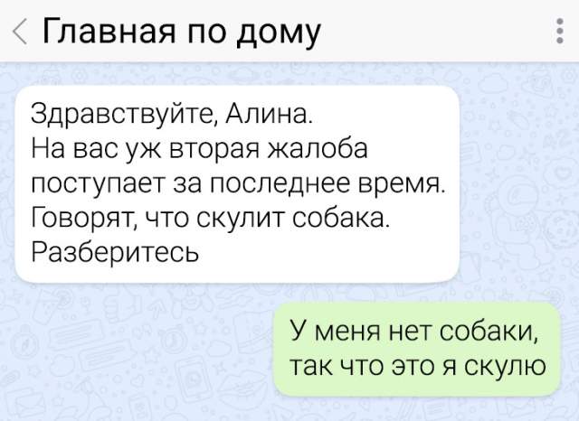 Подборка забавных переписок Подборка забавных переписок