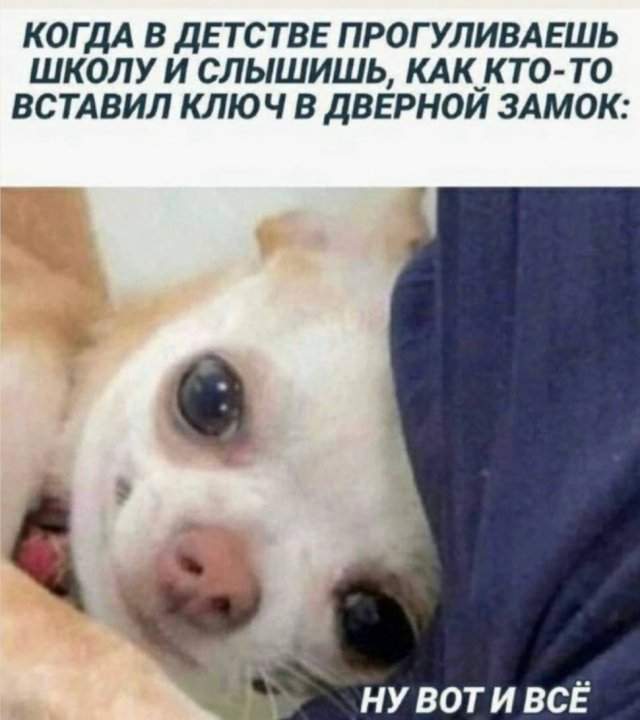 Смешные картинки - 28.04.2025 Смешные картинки - 28.04.2025